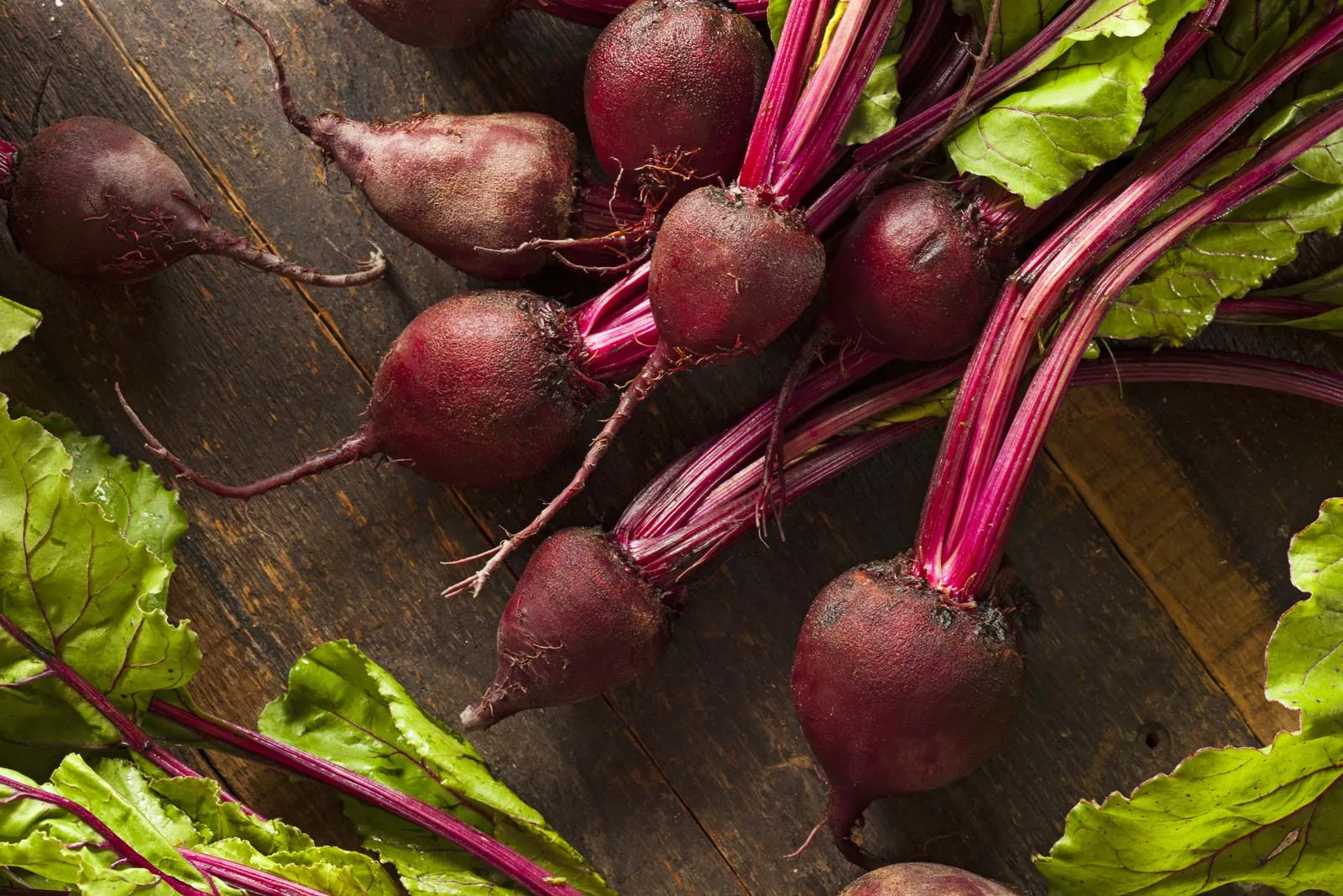 Beet Root — ingredient in Spartamax